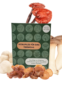 Vitalpilze